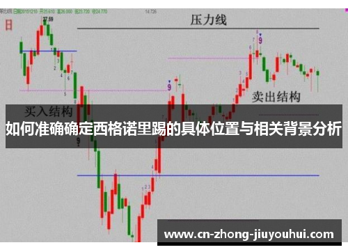 如何准确确定西格诺里踢的具体位置与相关背景分析