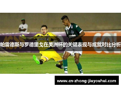 帕雷德斯与罗德里戈在美洲杯的关键表现与成就对比分析