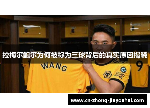 拉梅尔鲍尔为何被称为三球背后的真实原因揭晓