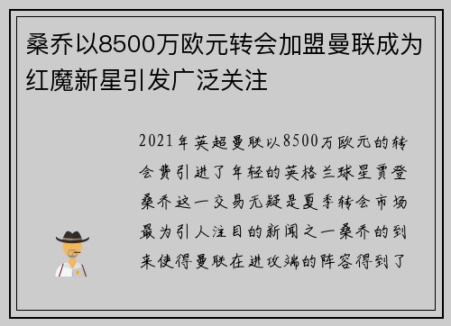 桑乔以8500万欧元转会加盟曼联成为红魔新星引发广泛关注 桑乔以8500万欧元转会加盟曼联成为红魔新星引发广泛关注
